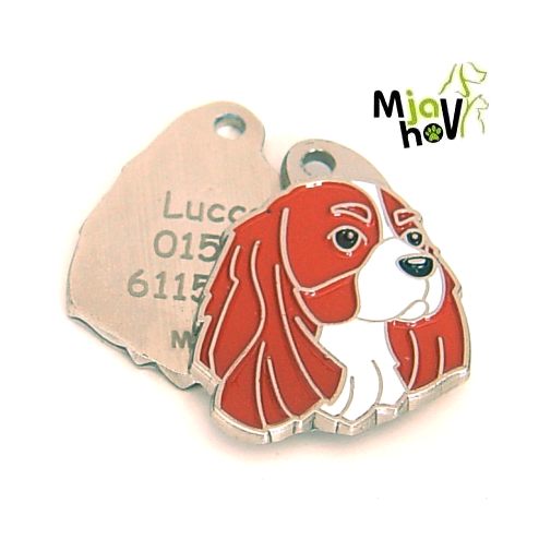 ID tegn-cavalier-king-charles-spaniel-blenheim-indgraverede.jpg Personlige hundetegn MjavHov - indgraverede hundetegn online